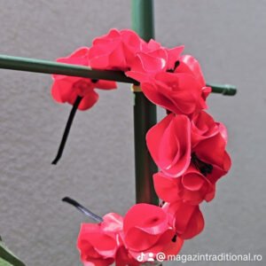 Coronita lucrata manual 18